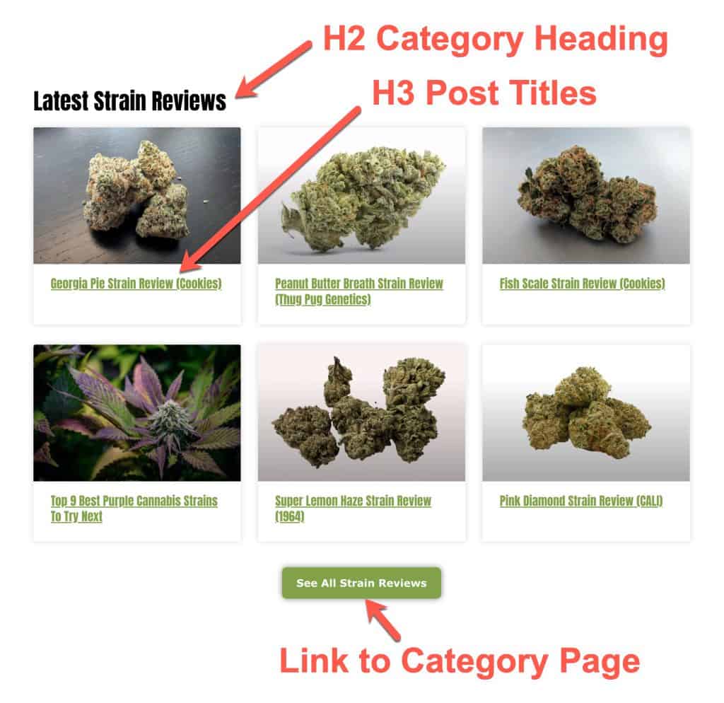 Homepage layout for each category section